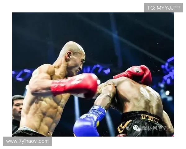 一龙比赛战绩回顾：巅峰时刻与辉煌成就分析